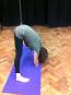YogaAndBackCare - Mats